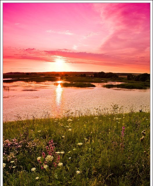 Малиновый Закат