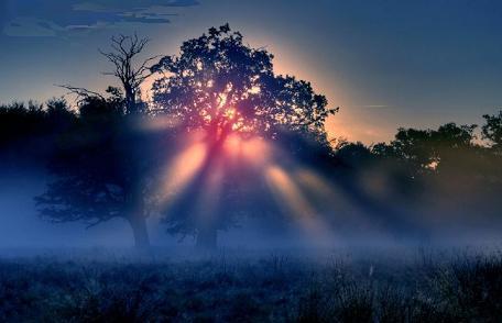 Светотени...