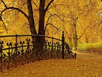 Отзвучавшие ноты разлуки