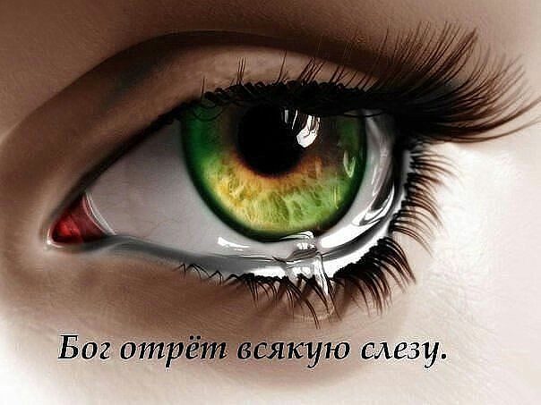 Тебя сегодня оголили?