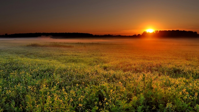 Отходят дни...