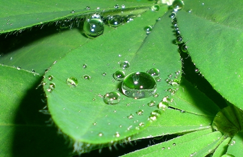 Капля упала