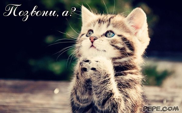 Каждую минуту