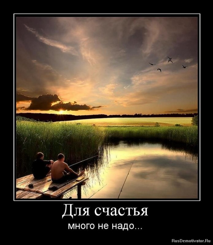 Не надо любовь за ограду