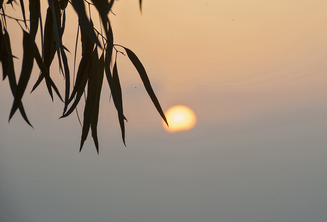 О том, что я теперь спокойный,