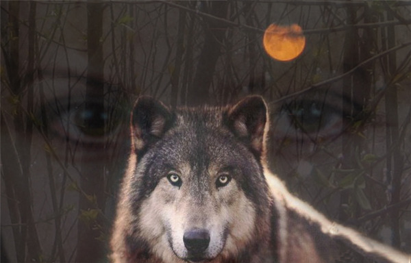 Устала приручать я хищника...