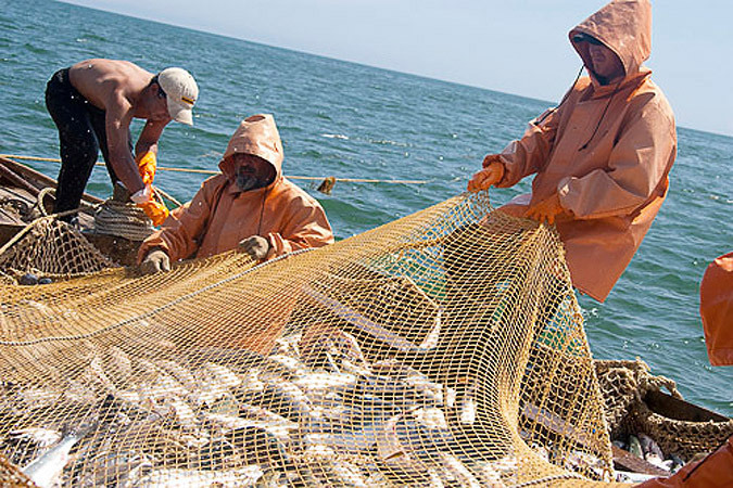 Весенняя путина