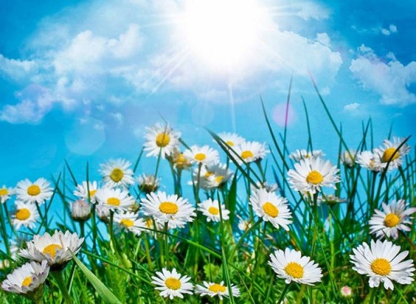 Всему своё время