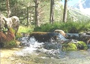 Старайтесь