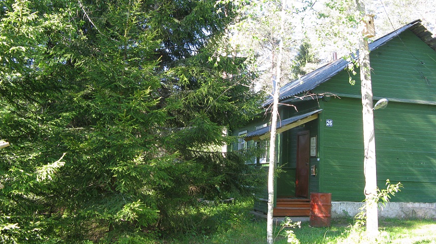 В лесничестве