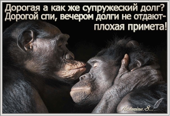 Круговой долг