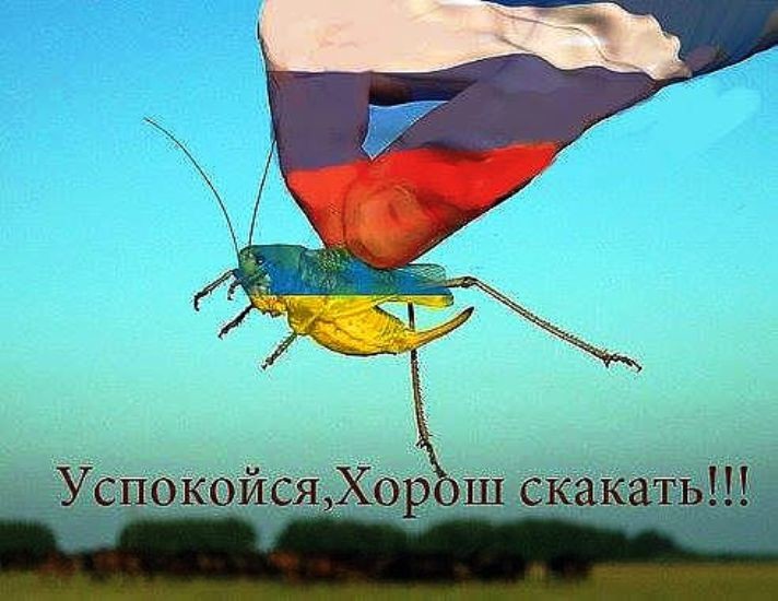 Страна не виновата...