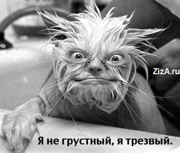 Колыбельная для мужа