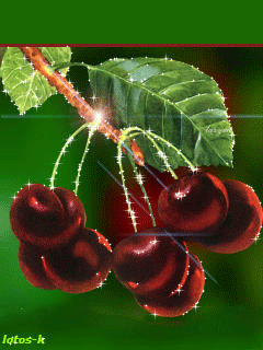 За моим окном