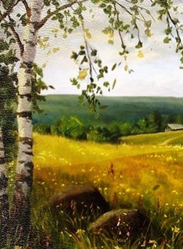 Порвал ветер платье на берёзке