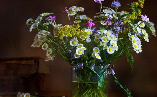 Нам память греет свет былого...