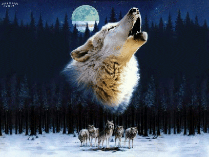 Волки Стаей Ждут...