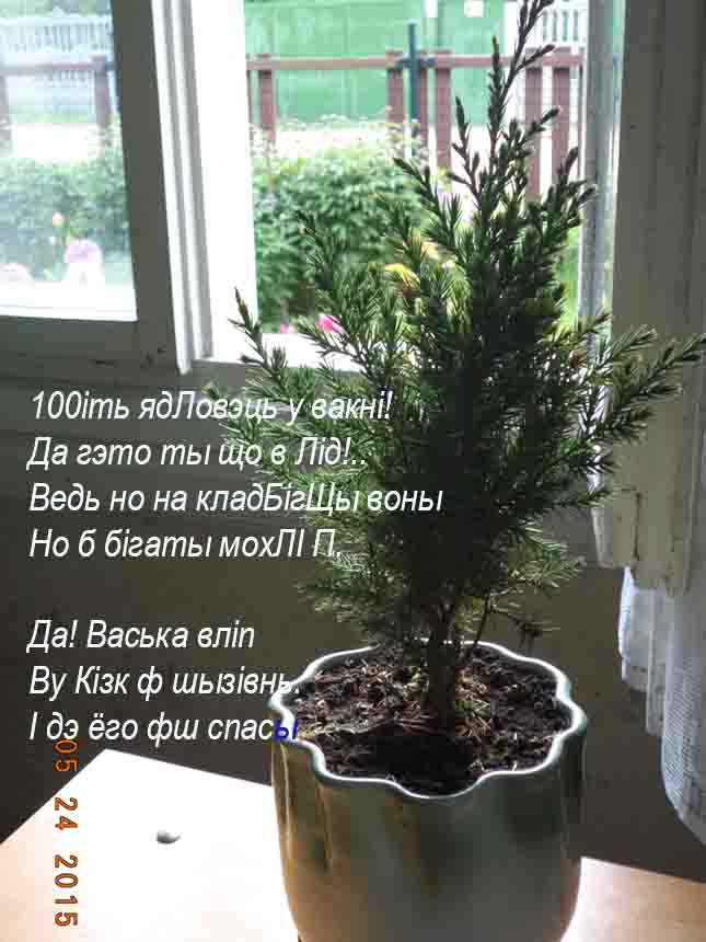 Прышла весна и я поэтому уж пЯн