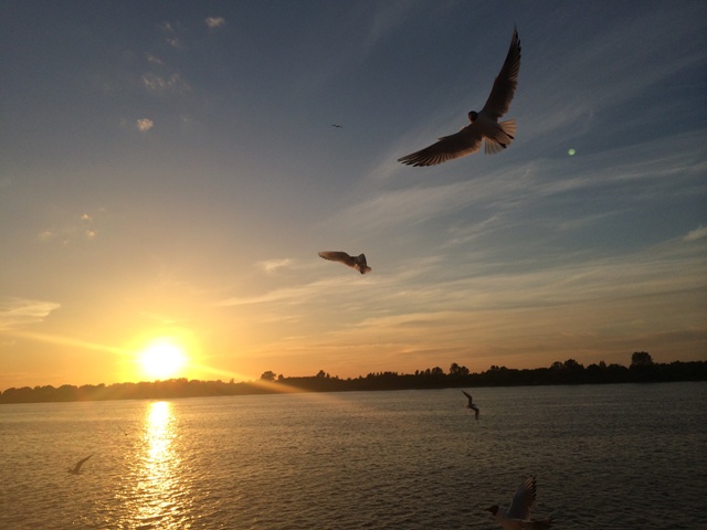 Летний вечер над Волгой