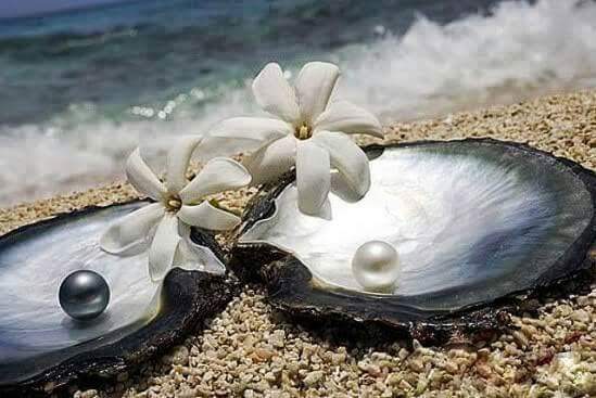 7. Поляна райских сказок