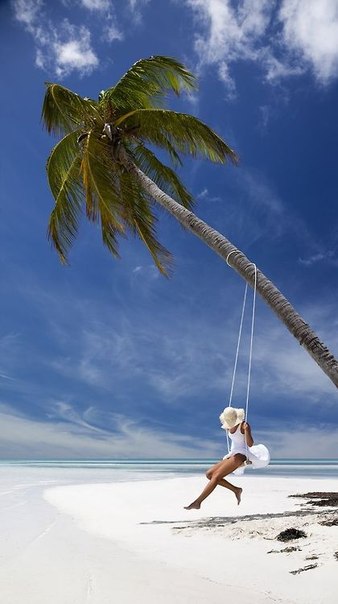 8. Шелест чувства