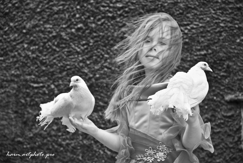 Песня я ловлю птичку. Фотосессия с голубями. Девушка с голубем. Девушка с белым голубем. Фотосессия детей с голубями.