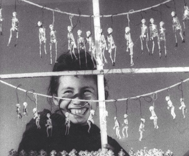 Животная природа