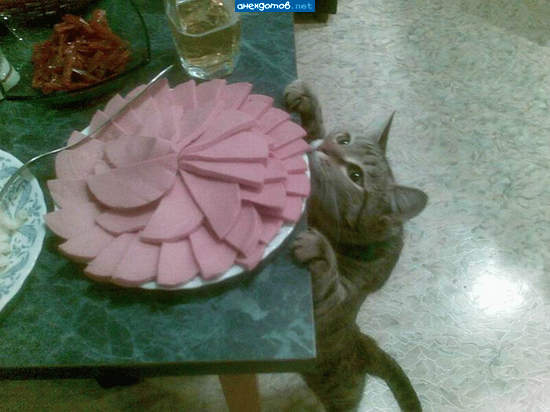 Как вкусно пахнет колбаса!