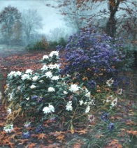 Из хризантем