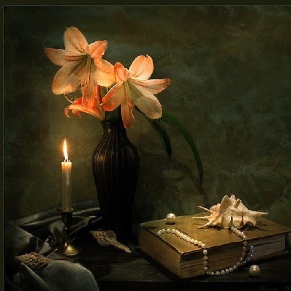 Выпускница