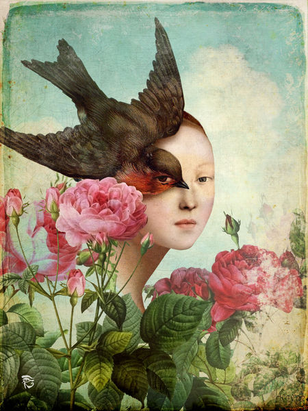 разнотравье