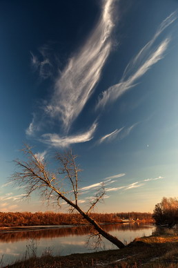 Подари мне крылья на часок...