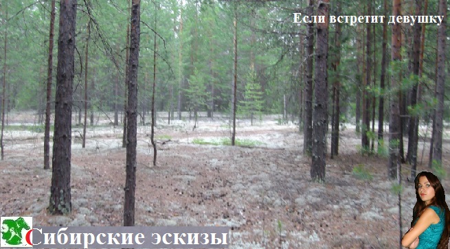 Если встретит девушку