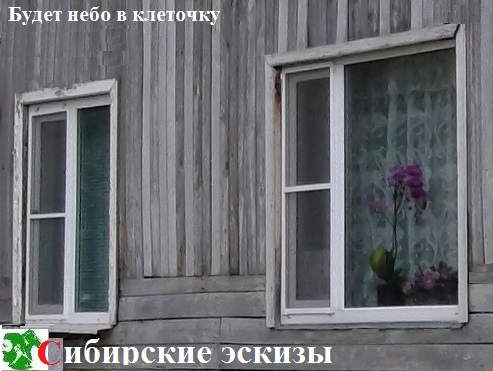 Будет небо в клеточку