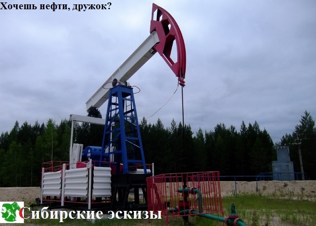 Хочешь нефти, дружок?