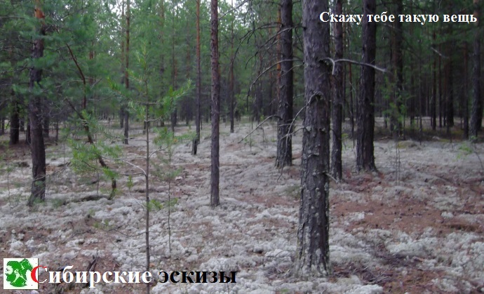 Скажу тебе такую вещь