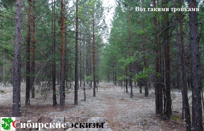 Вот такими тропками