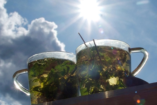 Замешан вечер на медовом аромате цветущей липы