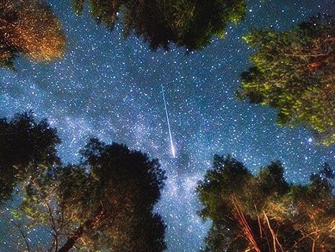 И снова летняя ночь