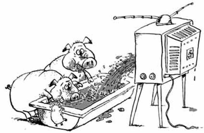 По ящику идет программа...