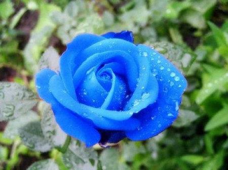 Сказочно-страстно-нежно