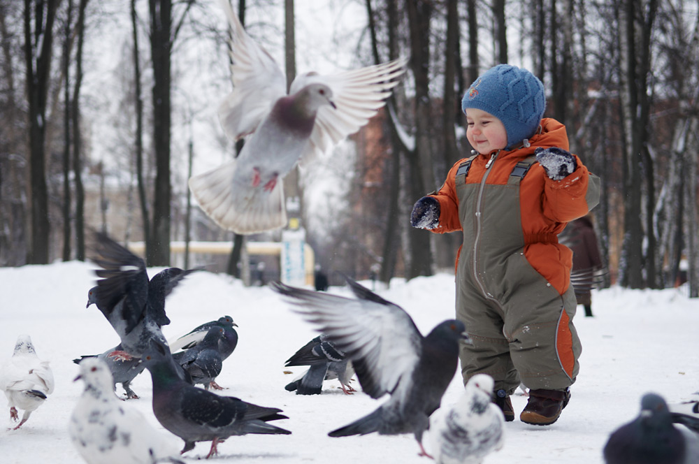 Ребенок гоняет. Дети гоняют птиц. Дети гоняют птиц в парке. Иллюстрация дети гоняют птиц. Голубей гонять.