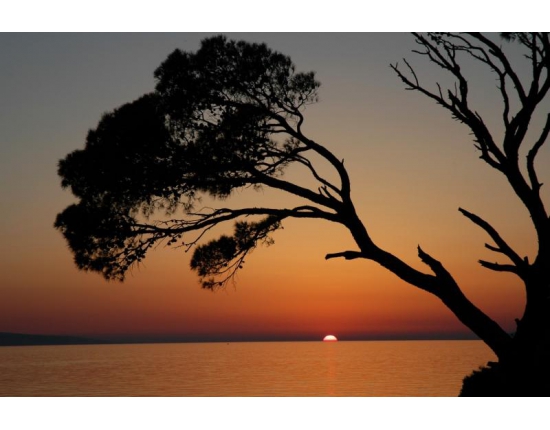 Люблю, когда уходит солнце не спеша