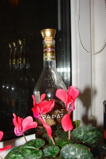 Просто подарю!