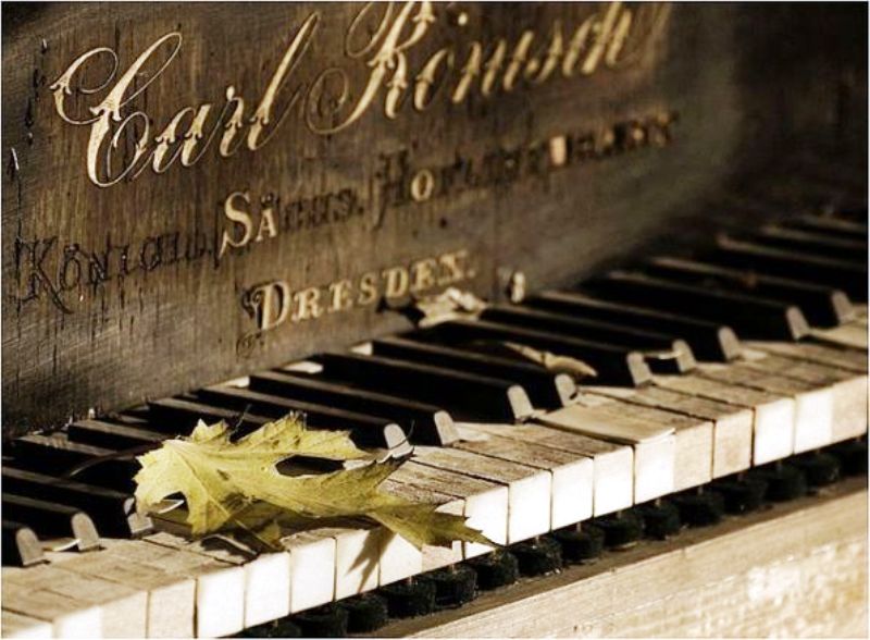 Осенне-зимняя икебана