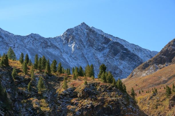 Романтики. Песенный текст