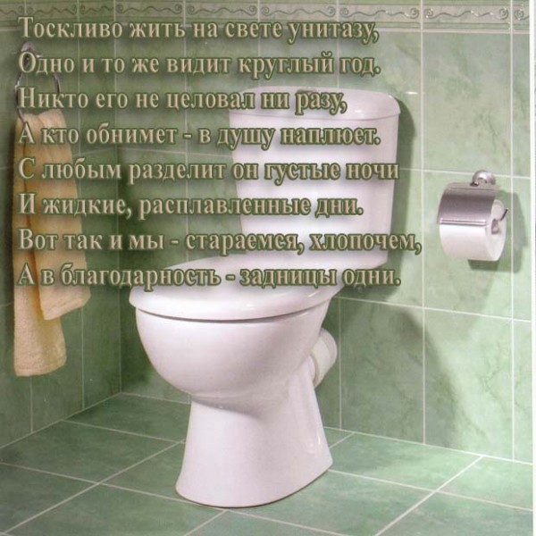 Стихотворение «Прелестный стих про унитаз», поэт Кушнир Андрей Автор стихотворения про глаз и унитаз эмоционально ответил на критику Кузнецовой