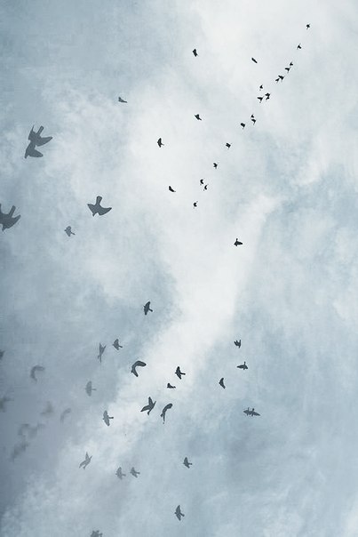 Благословение