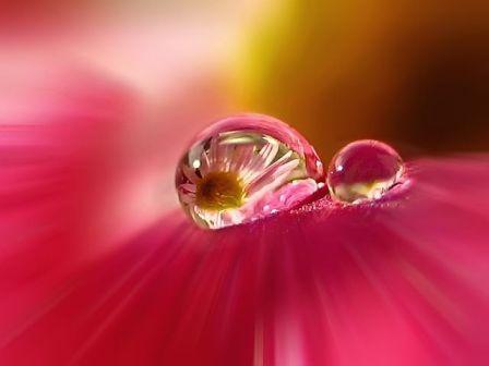 Девчонка любит ей чувство это ново...