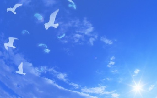 Душа Любовью расцветает...